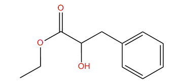 Ethyl 2-hydroxy-3-phenylpropanoate